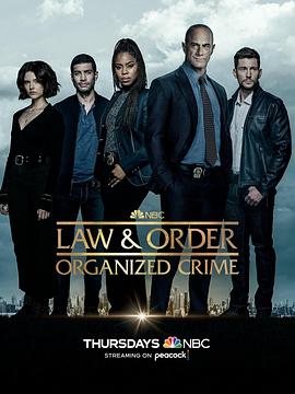 法律与秩序：组织犯罪 第三季第07集