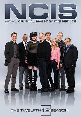海军罪案调查处第十二季第06集