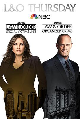 法律与秩序：特殊受害者第二十三季第06集