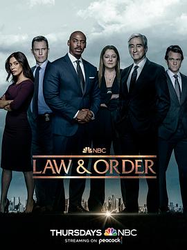 法律与秩序第二十二季第16集