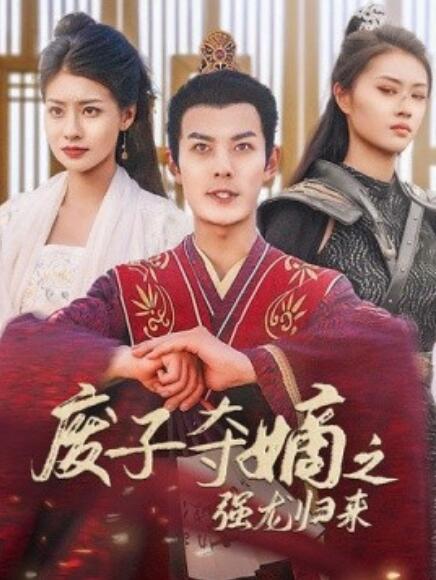 废子夺嫡之强龙归来全集(大结局)