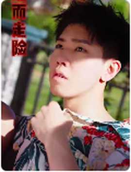 铤而走险$步步高升全集(大结局)