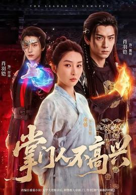 掌门人不高兴(全集)
