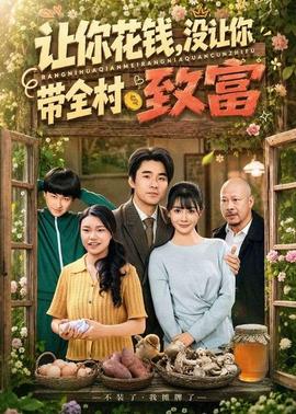 让你花钱，没让你带全村致富(全集)