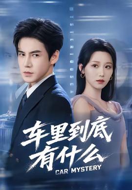 车里到底有什么(全集)