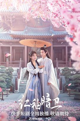 红袖暗卫第02集