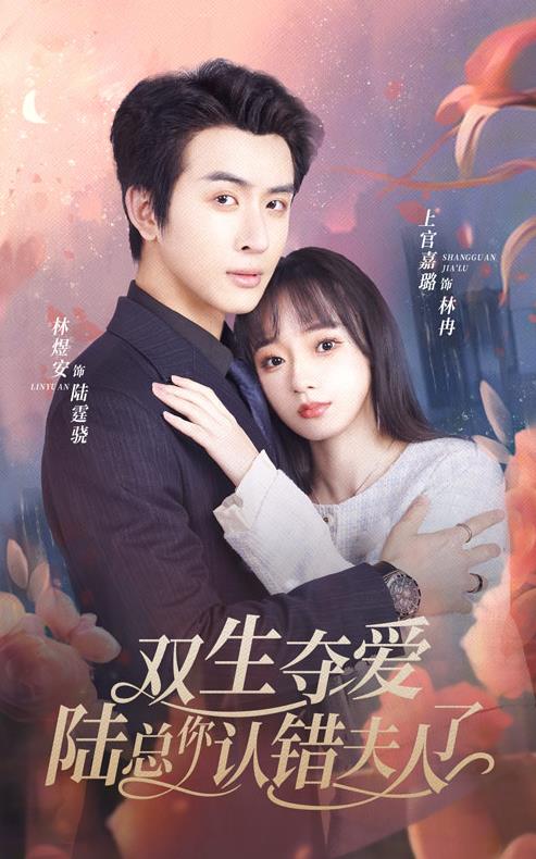 双生夺爱陆总你认错夫人了第01集