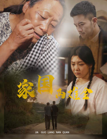 家国两难全第15集